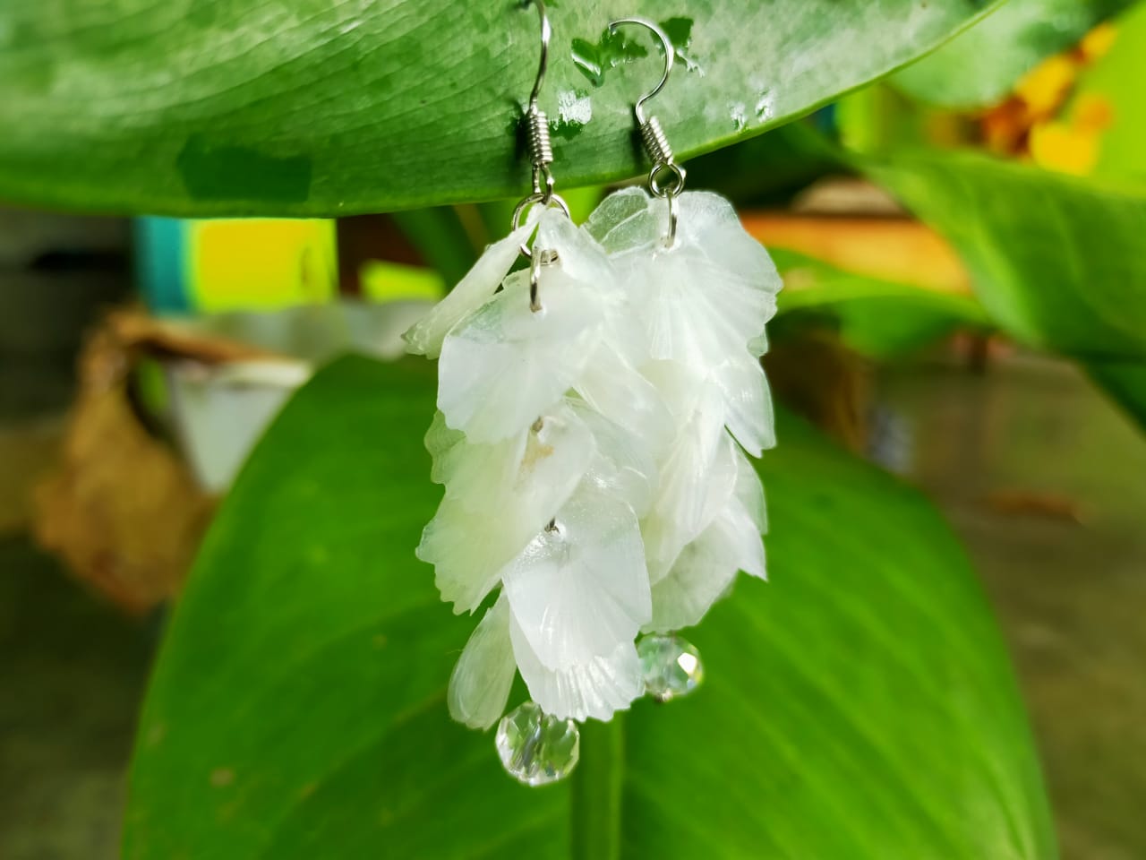 Anting Sisik Ikan Kakap