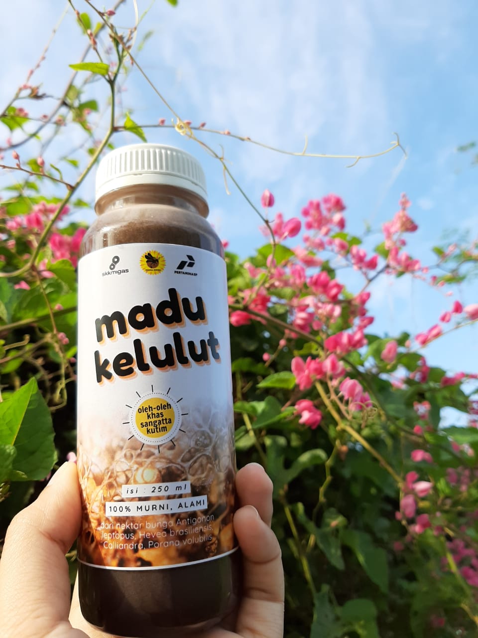 Madu Kelulut