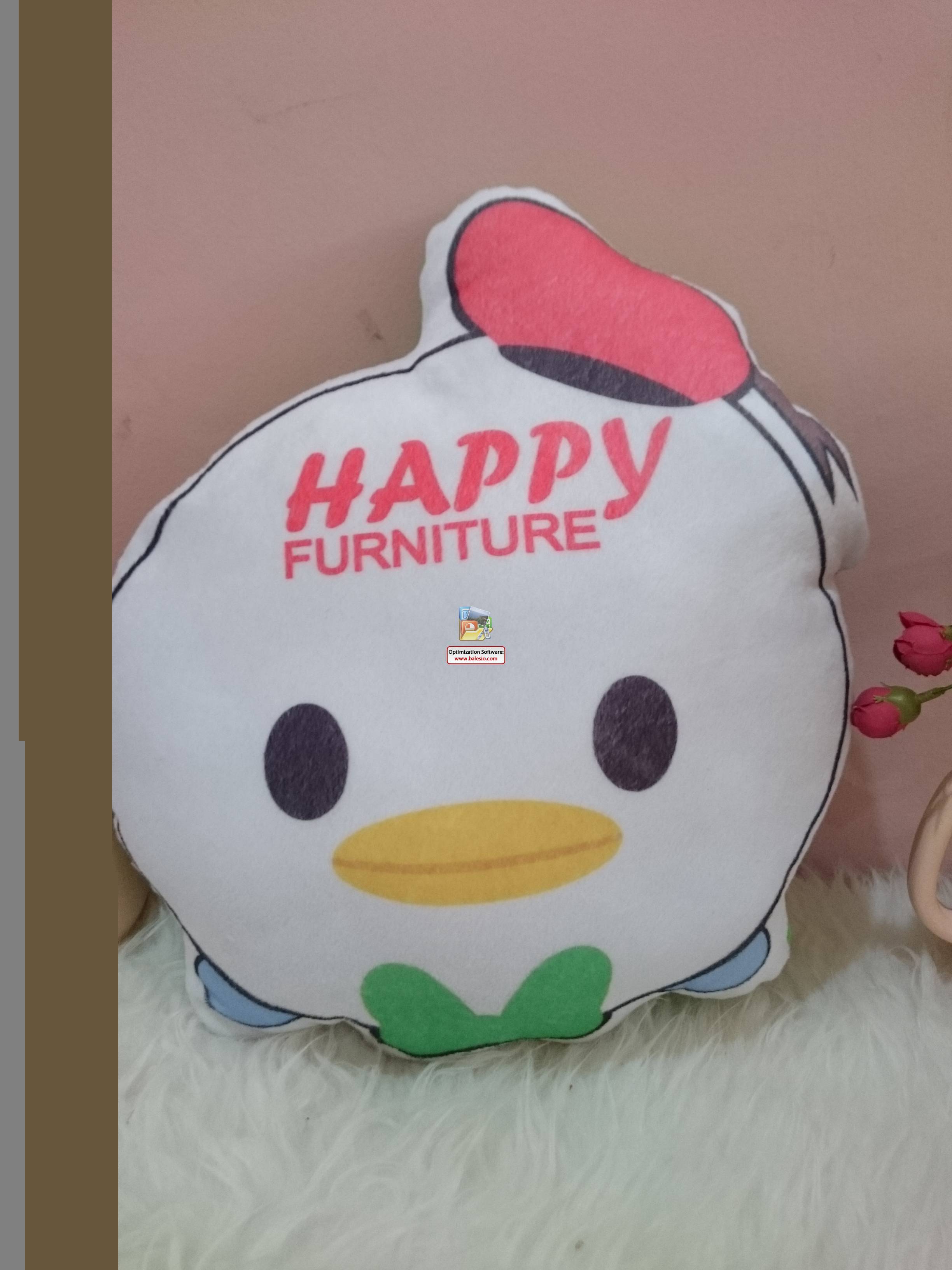 Souvenir Ultah Bantal Karakter