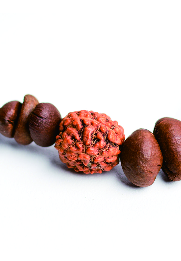 Coffee Bean Rudraksha Bracelet