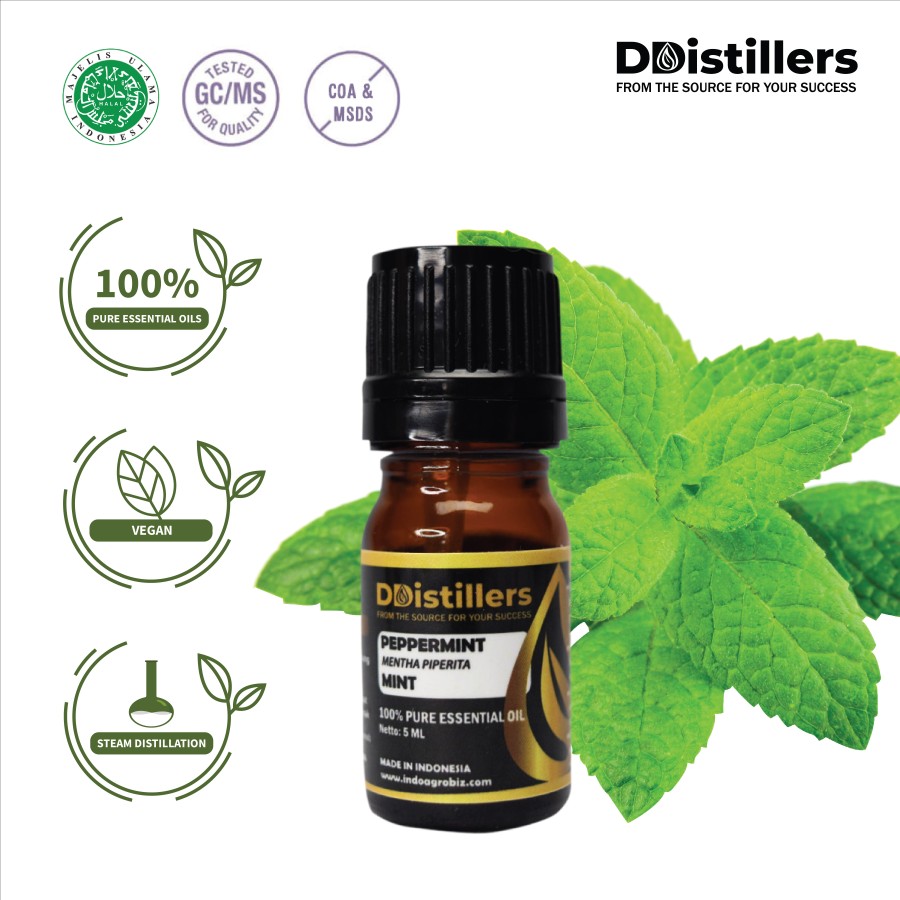 Peppermint / Peppermint Essential Oil 100% Pure