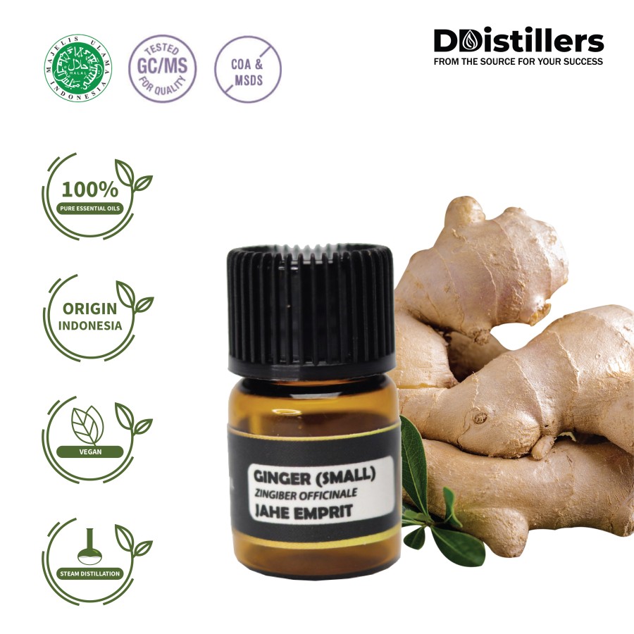 Jahe Emprit / Ginger (Small) Essential Oil 100 % Pure (2 ml)