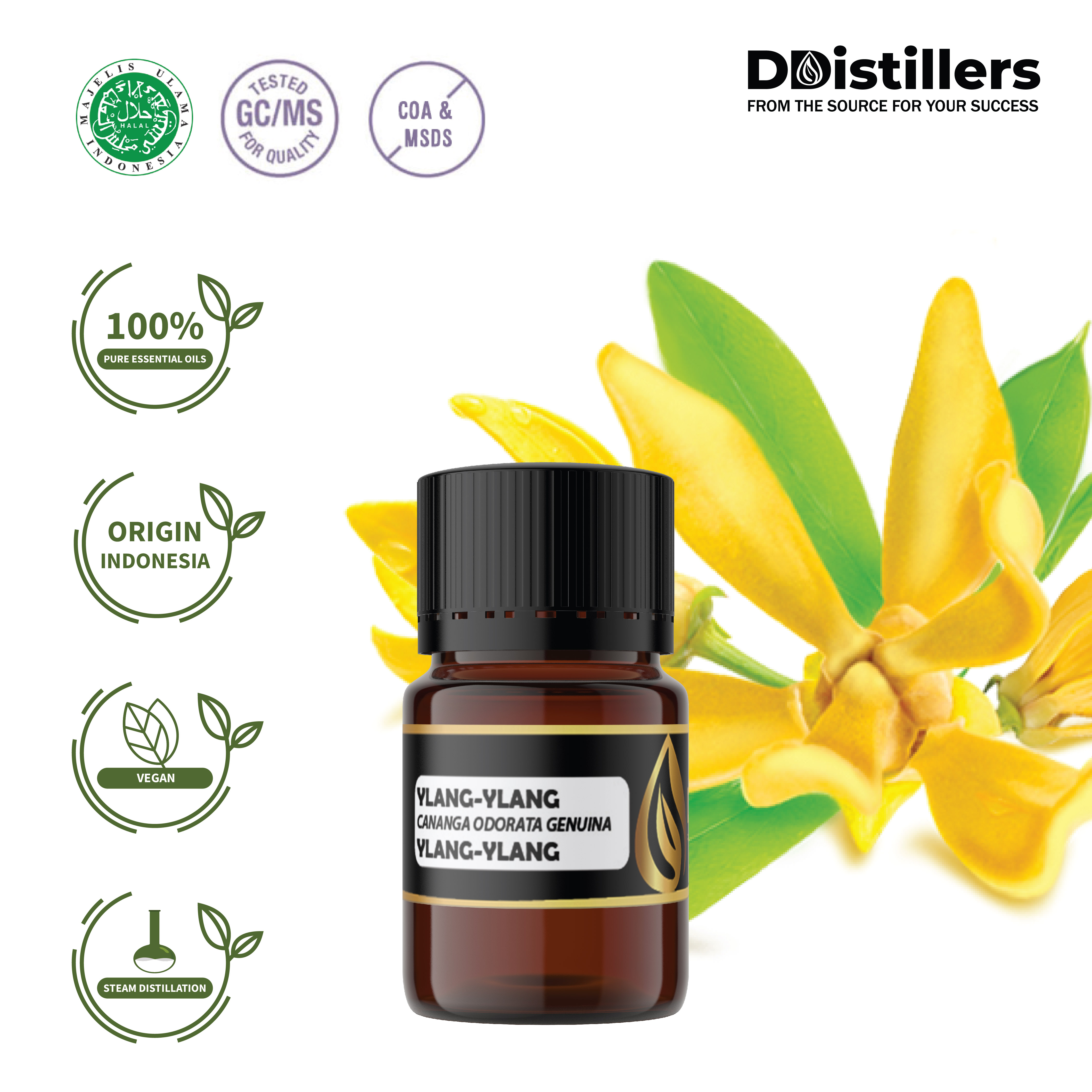 Minyak Ylang-ylang / Ylang - Ylang Essential Oil 100% Pure