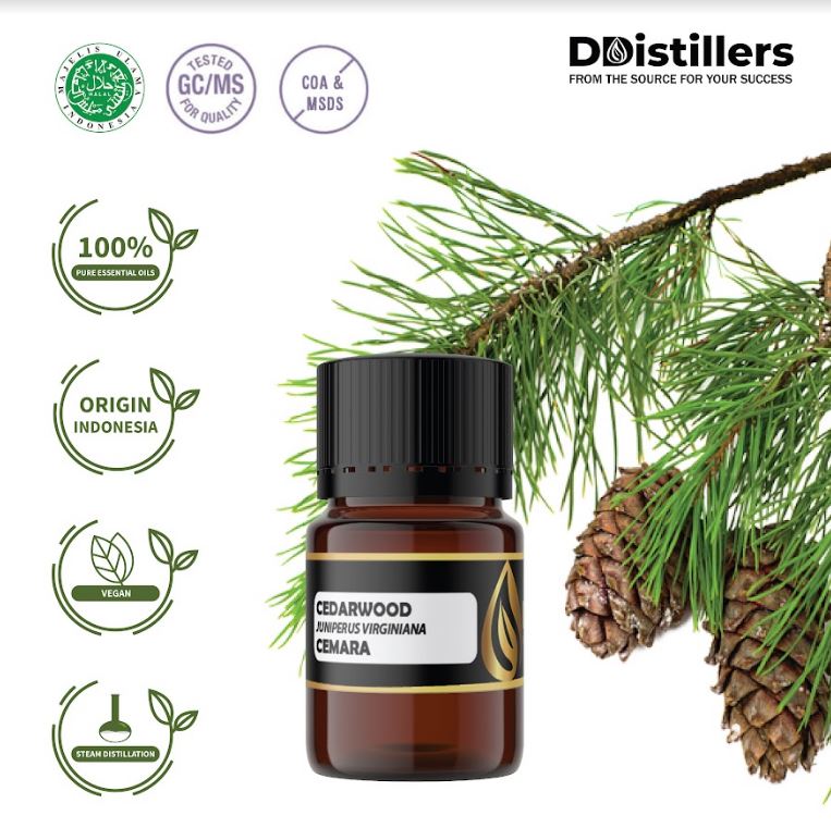 Minyak Atsiri Cemara / Cedarwood Essential Oil 100% Pure