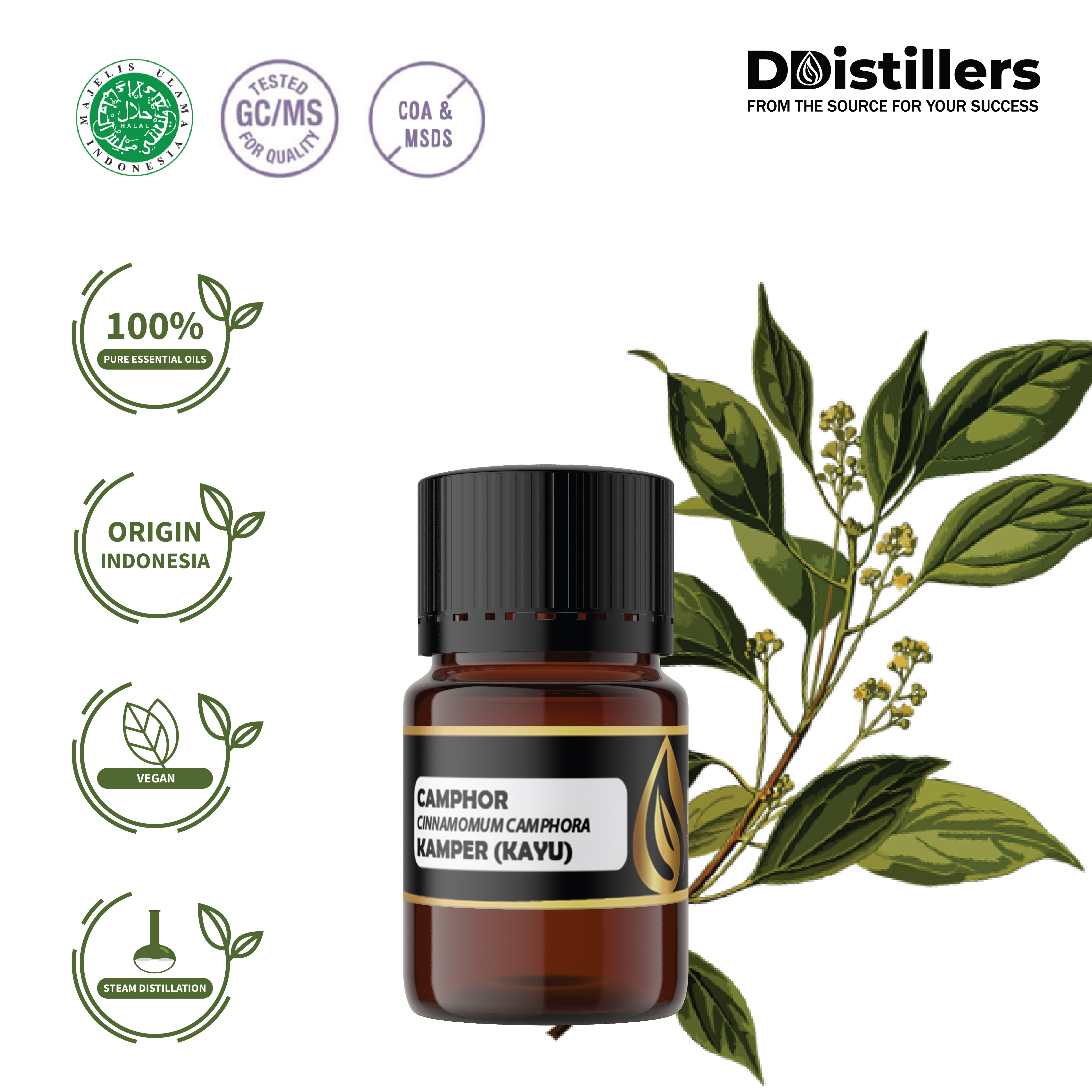 Minyak Kamper Kayu / Camphor Essential Oil 100% Pure