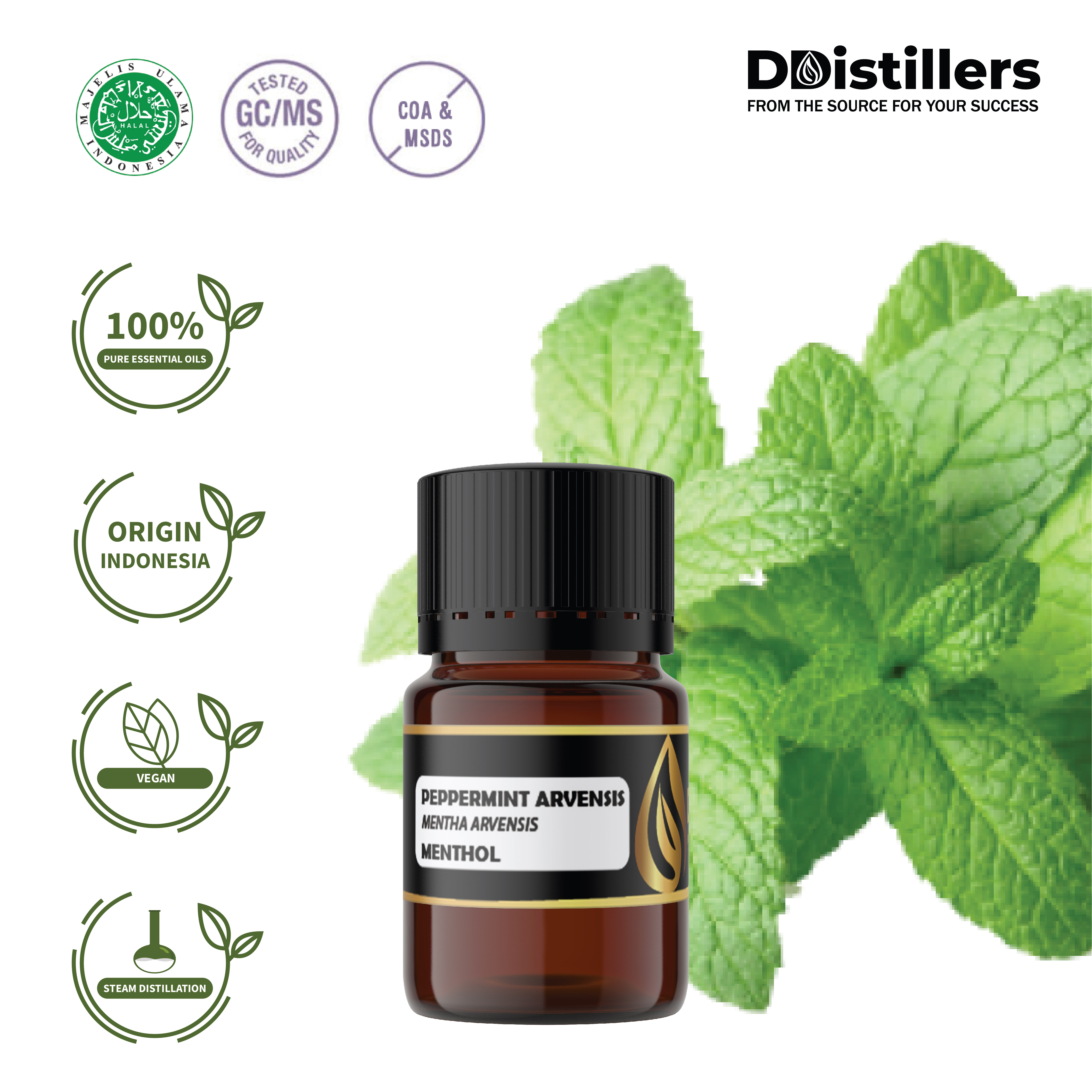 Peppermint Arvensis Essential Oil 100% Pure (5 ml)