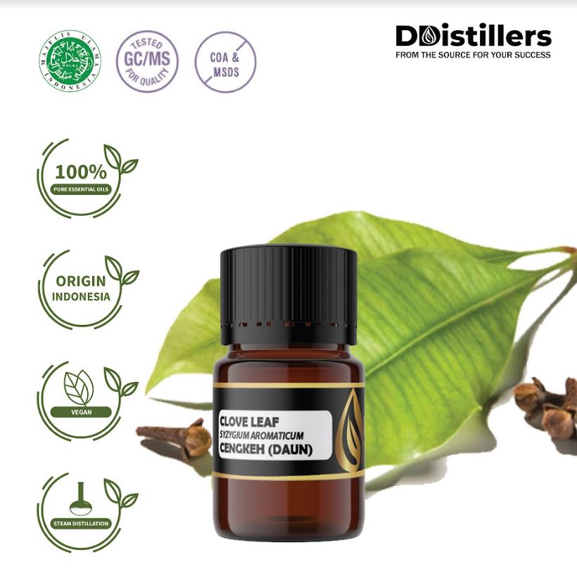 Minyak Cengkeh (Daun) / Clove Leaf Essential Oil 100% Pure