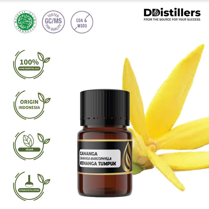 Minyak Kenanga Tumpuk / Cananga Essential Oil 100% Pure