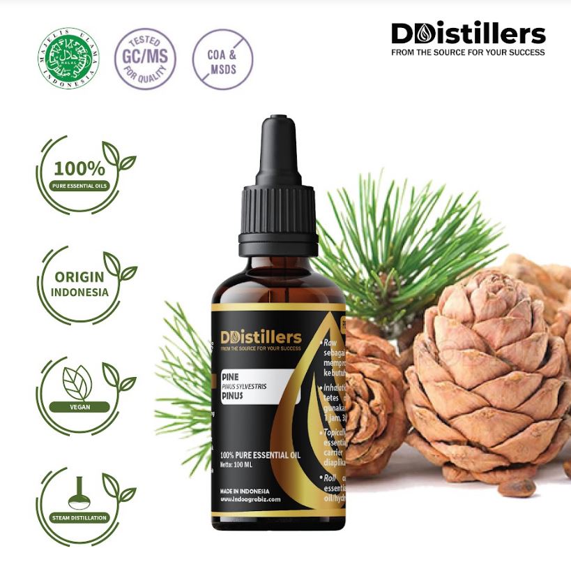 Minyak Atsiri Pinus / Pine Essential Oil 100 % Pure