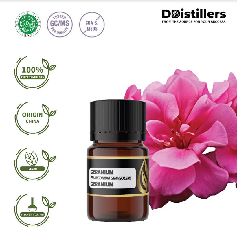 Geranium / Geranium Essential Oil 100% Pure (2-10 ml)