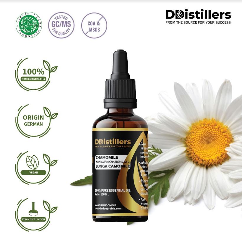 Bunga Camomile / Chamomile Essential Oil 100% Pure