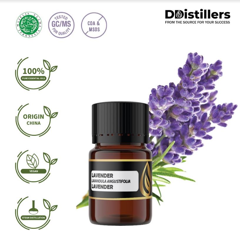 Lavender / Lavender Essential Oil 100 % Pure (10 ml)