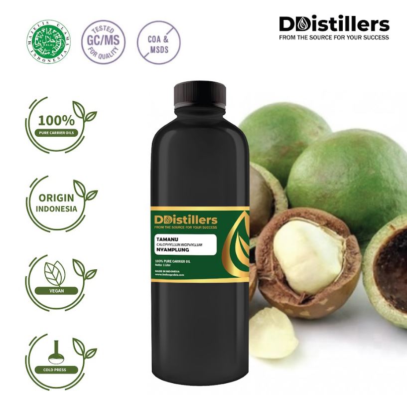 Minyak Nyamplung / Tamanu Carrier Oil Pure (2 - 500 ml)