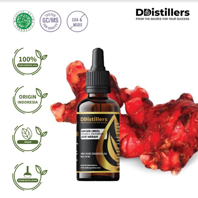 Jahe Merah / Ginger Red Essential Oil 100% Pure (50-100 ml)