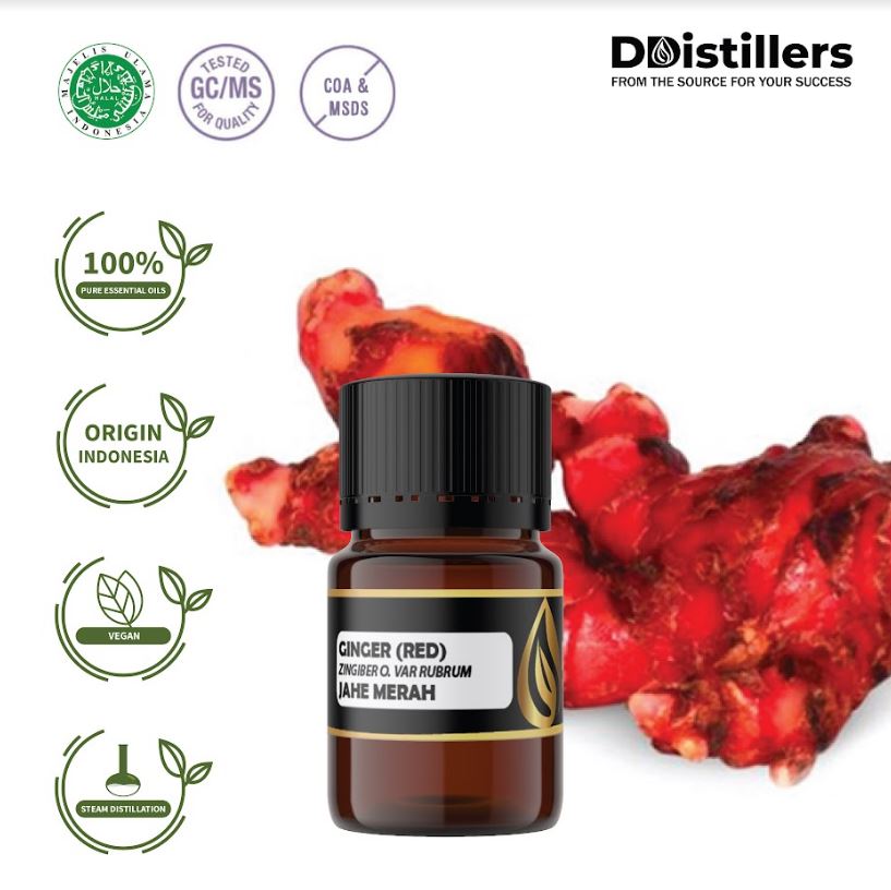 Jahe Merah / Ginger Red Essential Oil 100% Pure (5-10 ml)