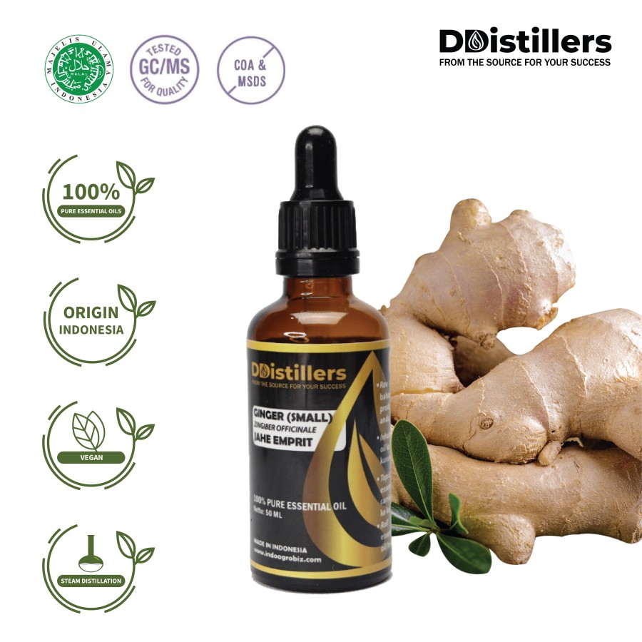 Jahe Emprit / Ginger (Small) Essential Oil 100 % Pure (5-500 ml)