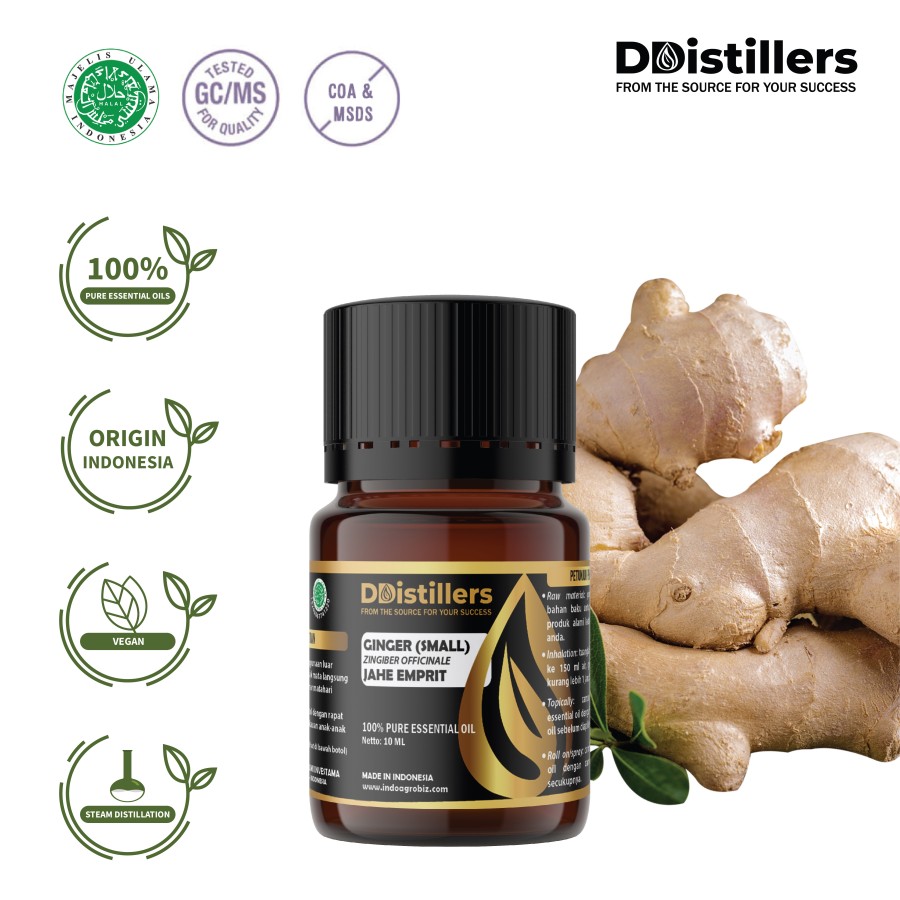 Jahe Emprit / Ginger (Small) Essential Oil 100 % Pure (5-500 ml)