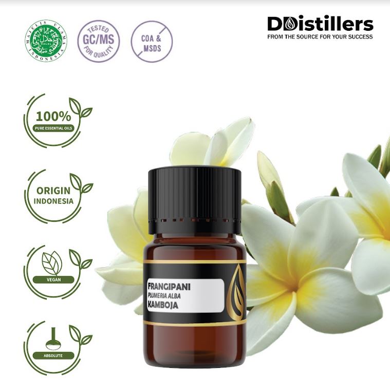 Kamboja / Frangipani Absolute Essential Oil 100% Pure (2 ml)