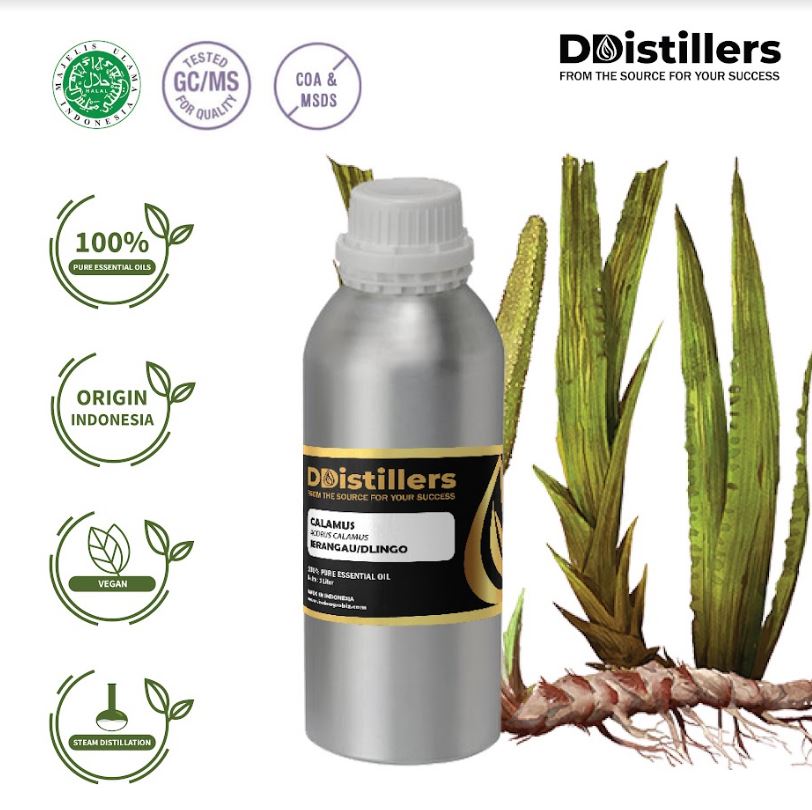 Minyak Jerangau Dlingo / Calamus Essential Oil 100% Pure (1-5 L)