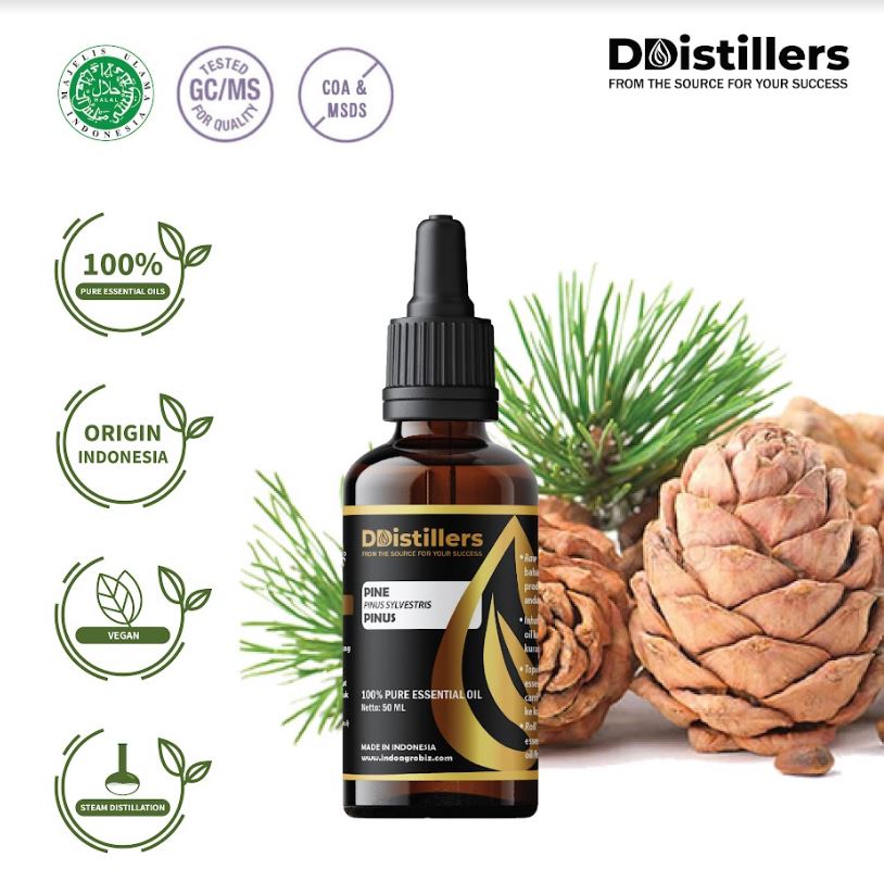 Minyak Atsiri Pinus / Pine Essential Oil 100 % Pure (50 ml)