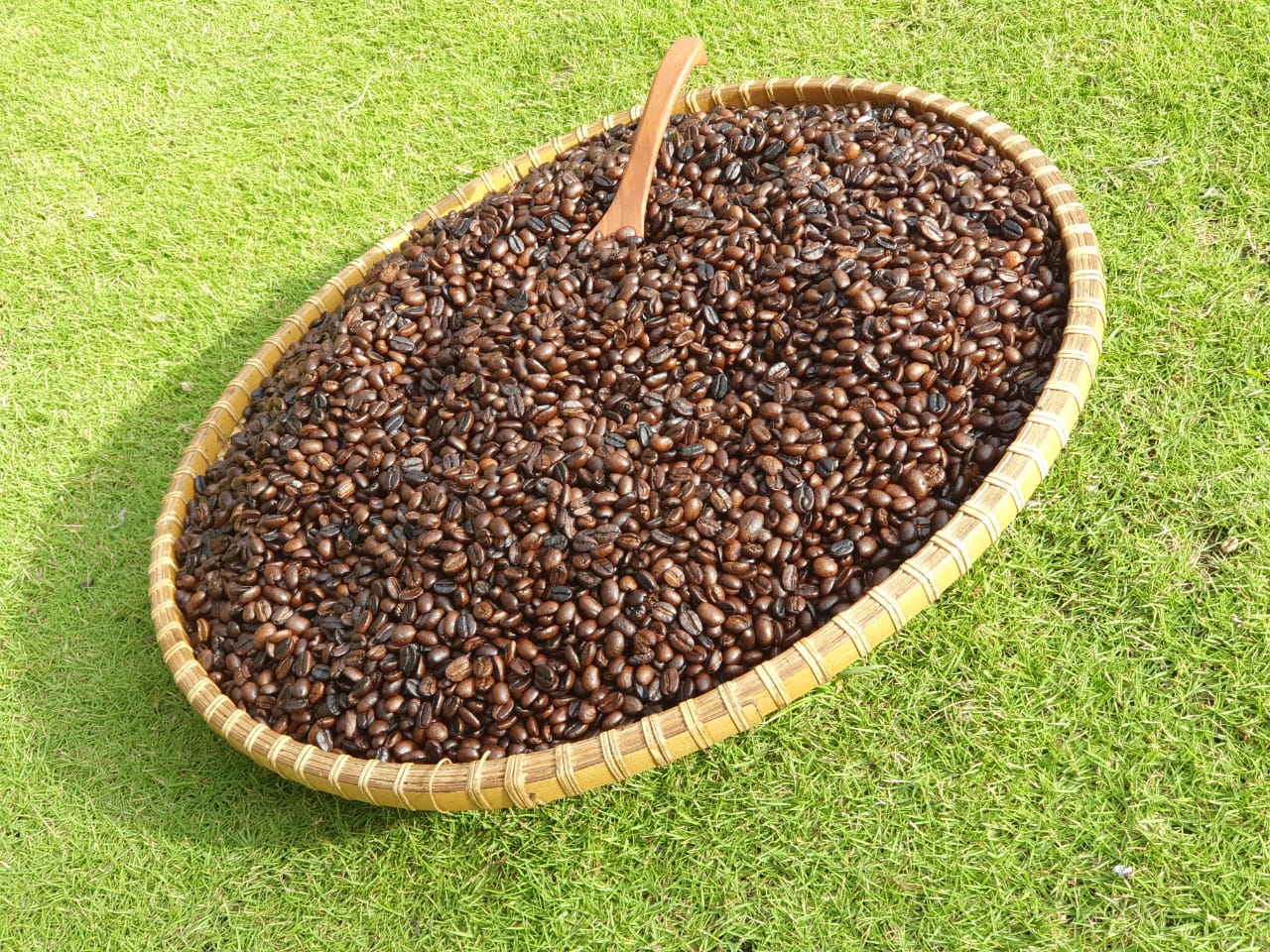 Arabica Premium - Beans 500gr