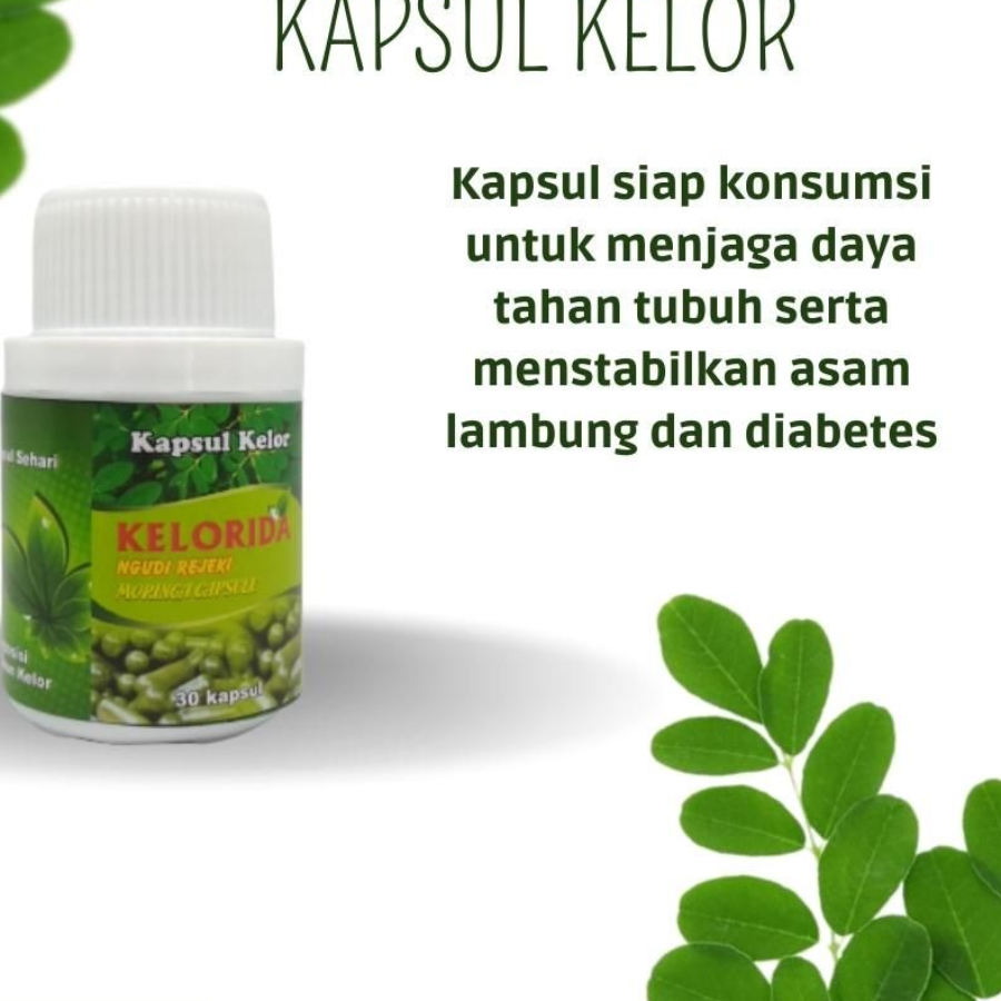 Kapsul Kelor