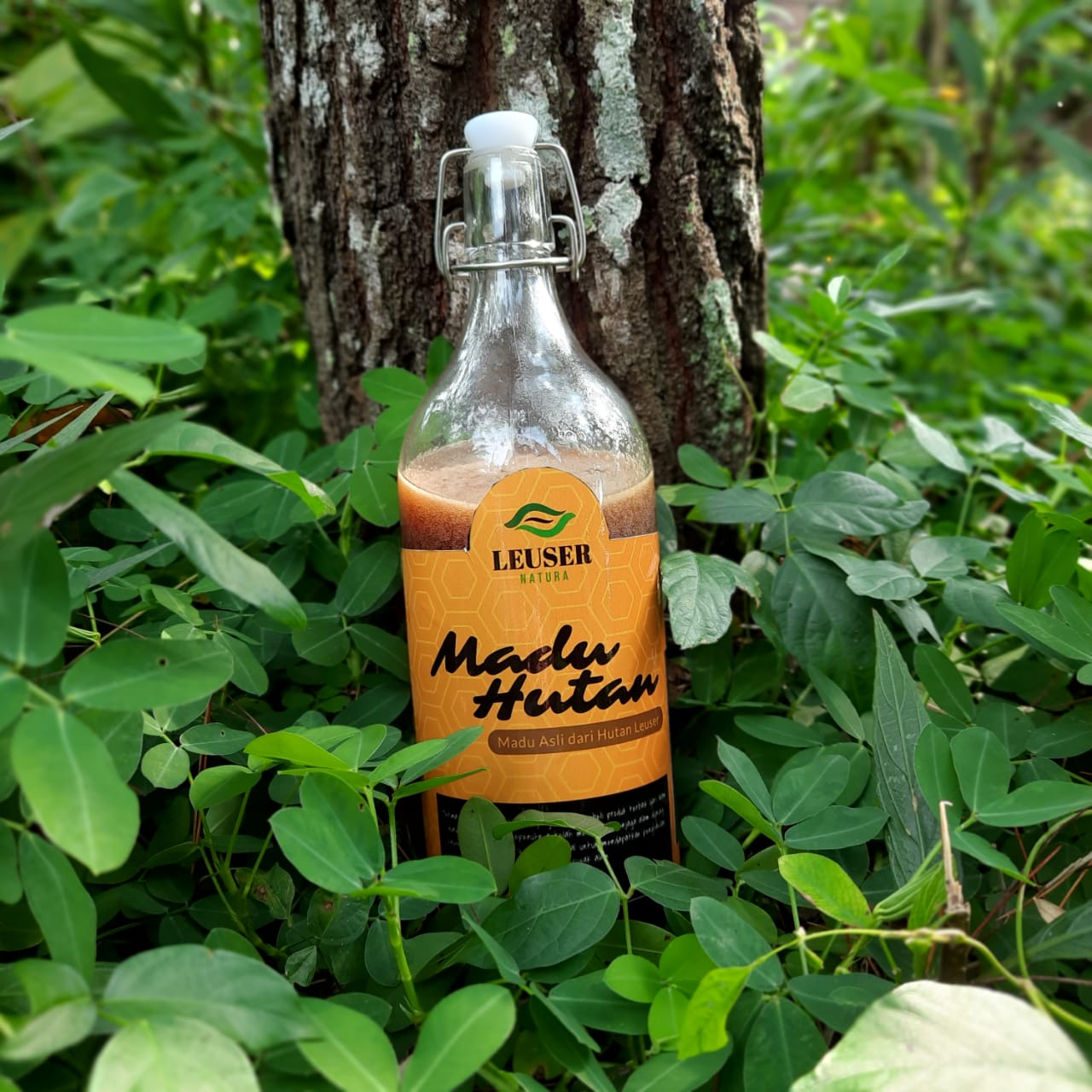 Madu Hutan Leuser Big bottle