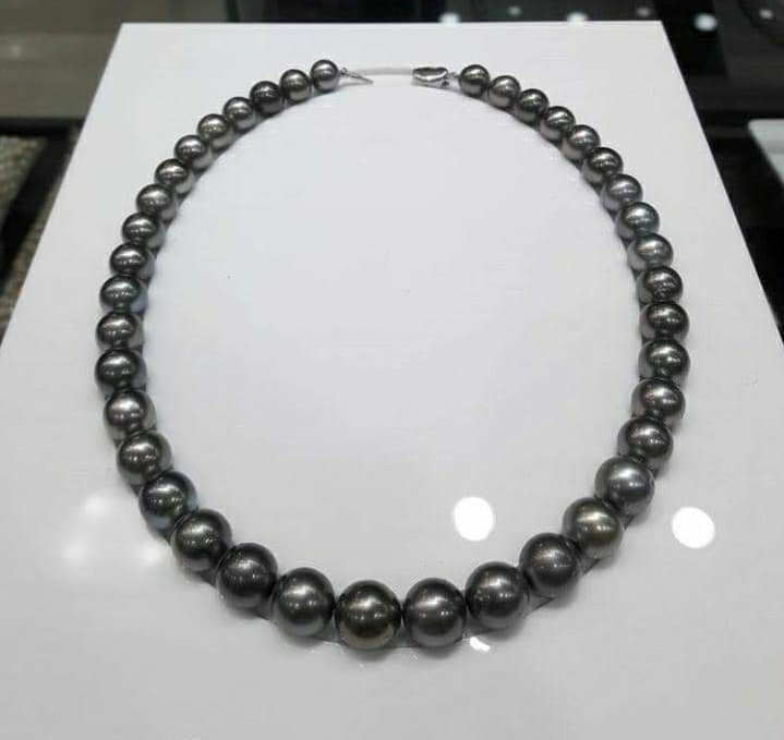 Kalung mutiara laut