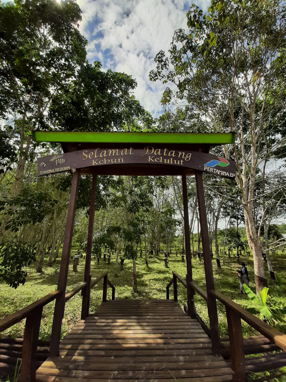 Madu Kebun Kelulut Sangatta